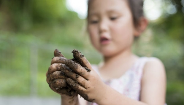 Detail Gambar Cacing Perut Pada Anak Cacing Perut Nomer 21