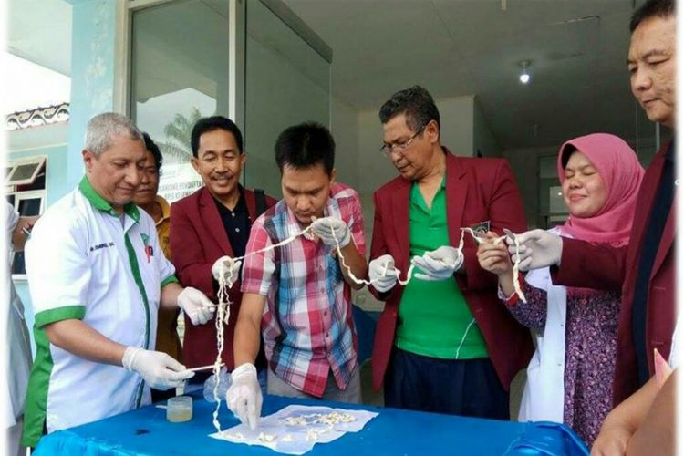 Detail Gambar Cacing Perut Pada Anak Cacing Perut Nomer 37