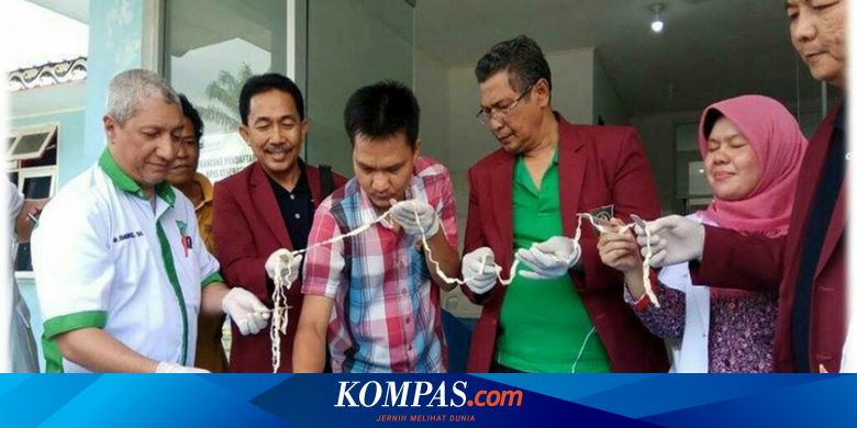 Detail Gambar Cacing Perut Pada Anak Cacing Perut Nomer 45