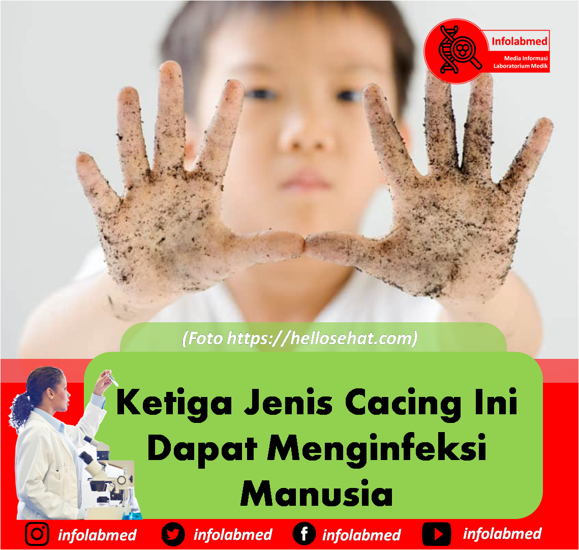 Detail Gambar Cacing Perut Pada Anak Cacing Perut Nomer 46