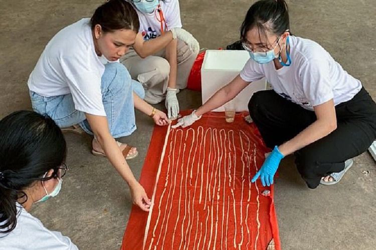 Detail Gambar Cacing Perut Pada Anak Cacing Perut Nomer 51