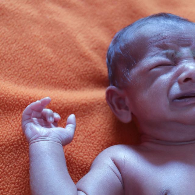 Detail Gambar Cacing Perut Pada Anak Cacing Perut Nomer 7