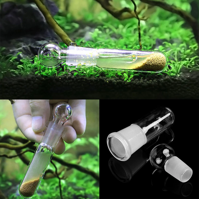 Detail Gambar Cacing Planaria Nomer 44