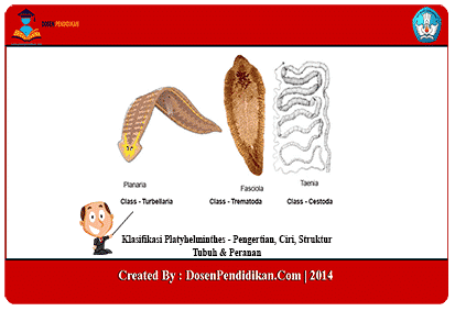 Detail Gambar Cacing Platyhelminthes Nomer 27