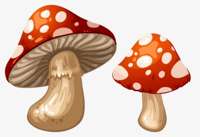 Detail Mushroom Png Nomer 15