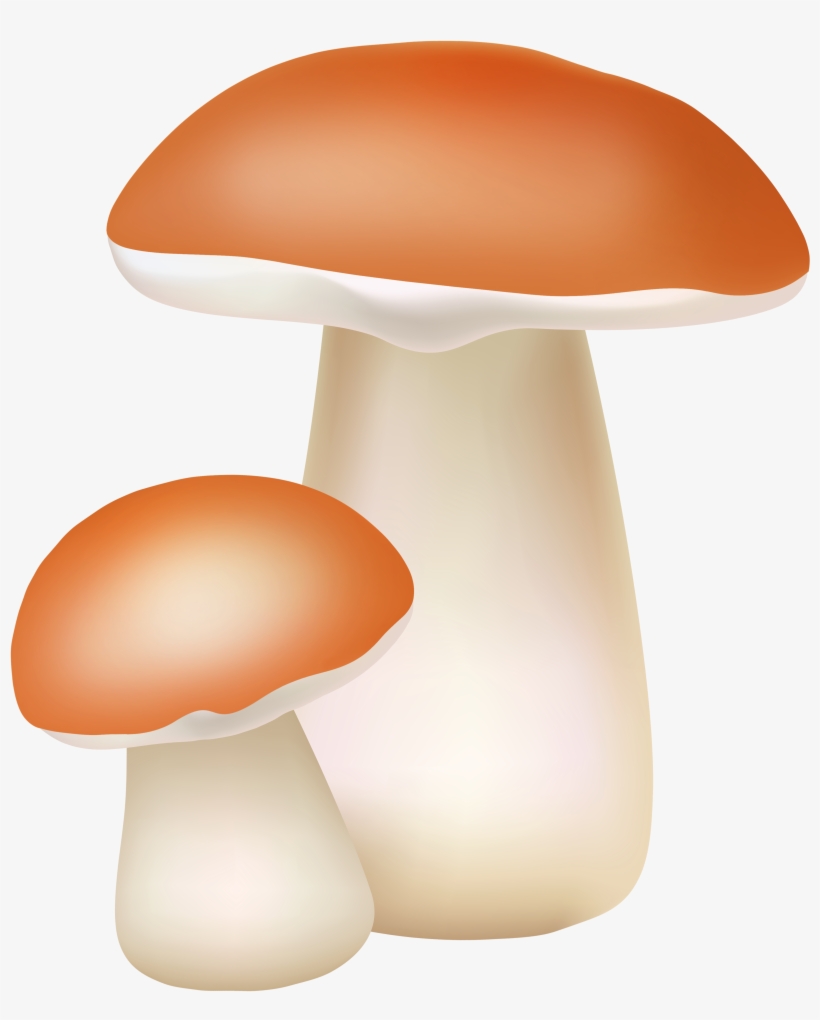 Mushroom Png - KibrisPDR