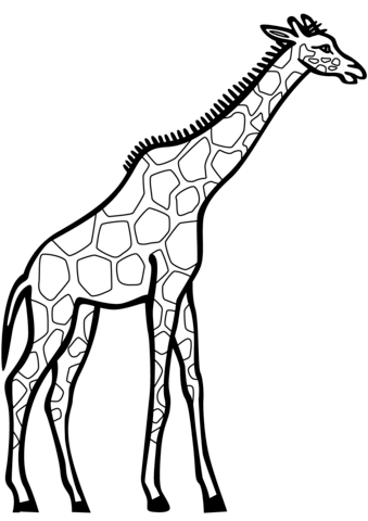 Detail Ausmalbild Giraffe Kopf Nomer 12