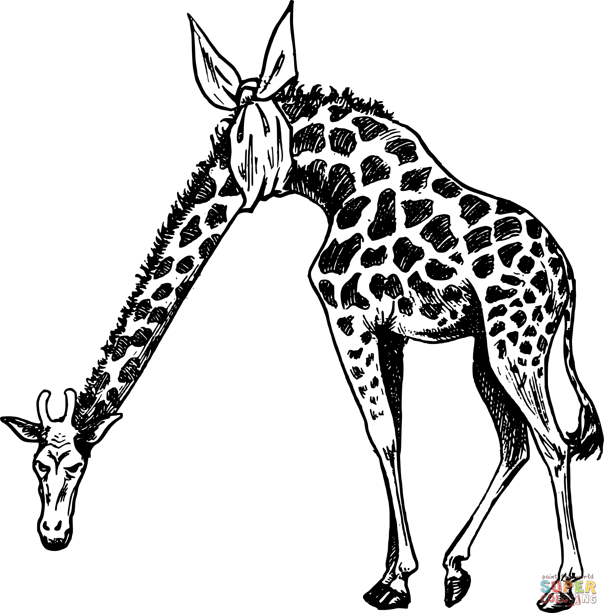 Detail Ausmalbild Giraffe Kopf Nomer 27