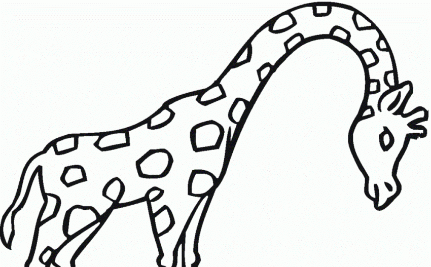 Detail Ausmalbild Giraffe Kopf Nomer 8