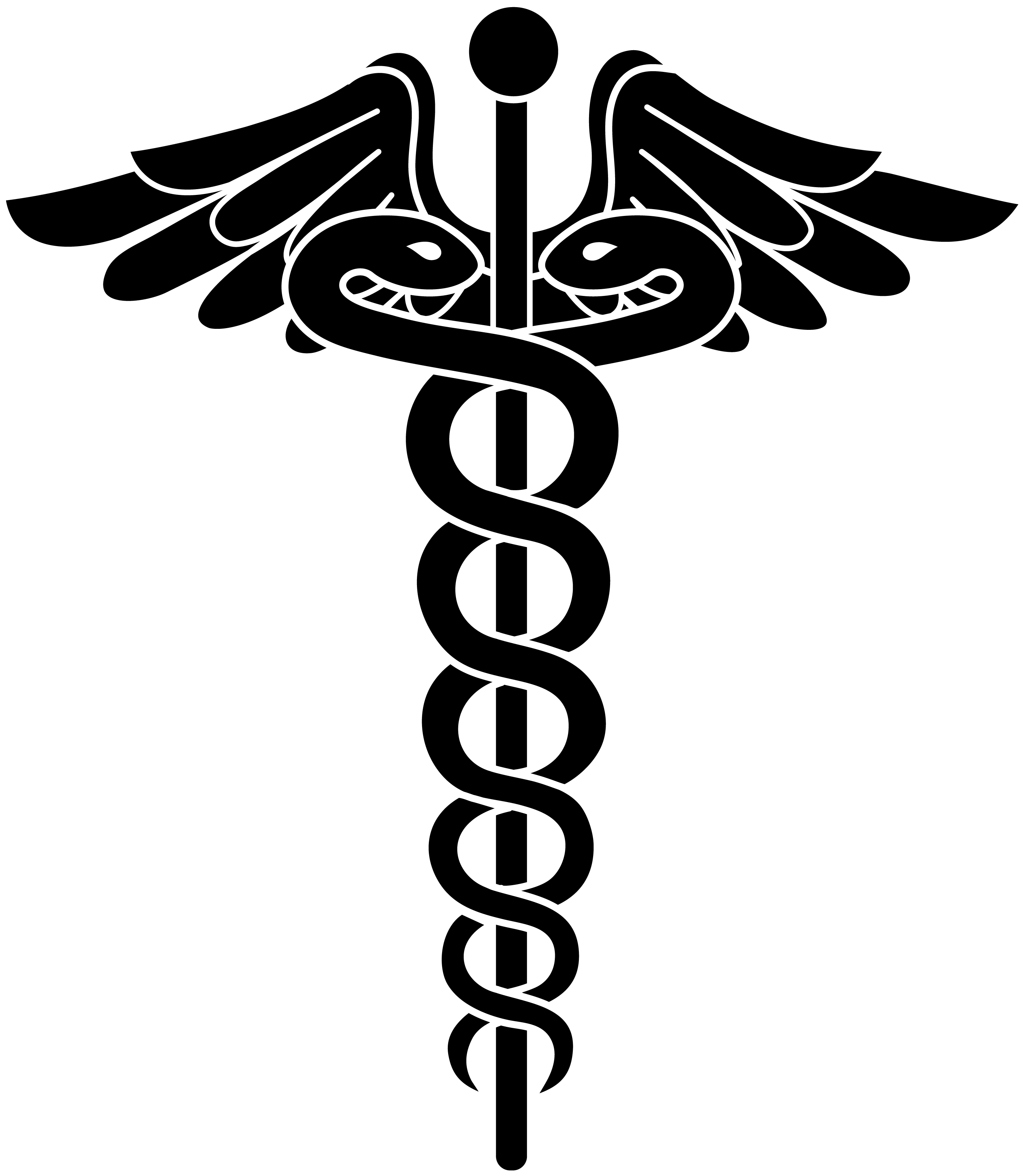 Detail Gambar Caduceus Png Nomer 14