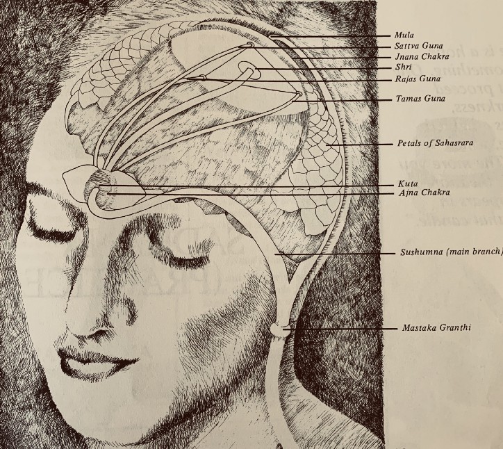Detail Gambar Cakra Sketsa Nomer 27