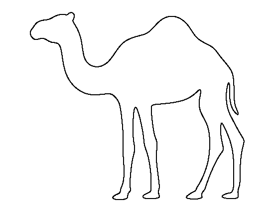 Detail Gambar Camel Nomer 35