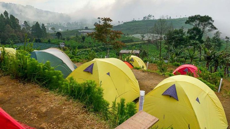 Detail Gambar Camping Di Gunung Nomer 20