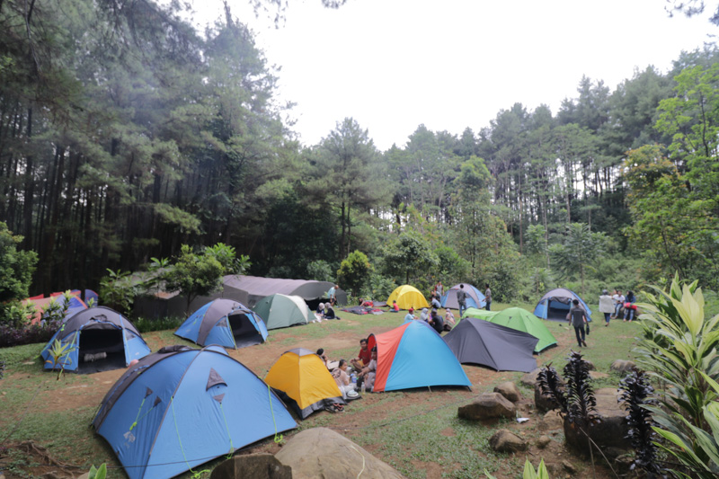 Detail Gambar Camping Di Gunung Nomer 50