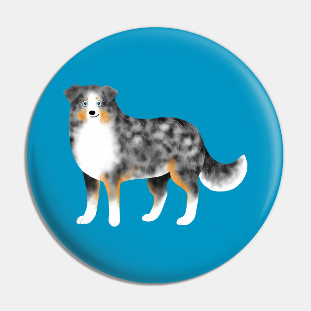 Detail Australian Shepherd Blue Merle Welpe Nomer 14