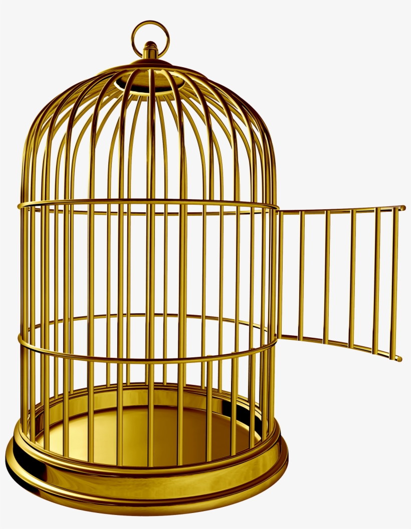 Detail Bird Cage Clipart Nomer 6