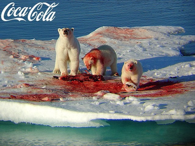 Detail Coca Cola Polar Bears Pictures Nomer 31