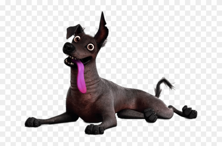 Detail Coco Png Images Nomer 52