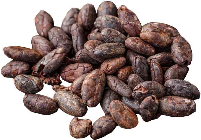 Detail Cocoa Bean Images Nomer 13