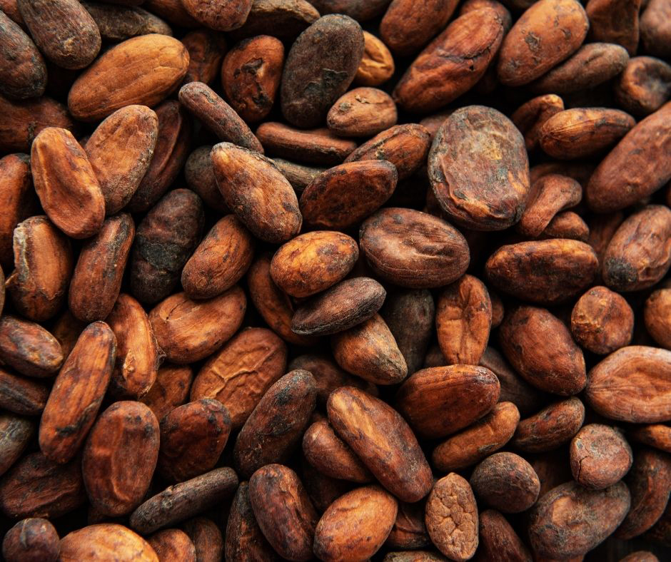 Detail Cocoa Bean Images Nomer 3