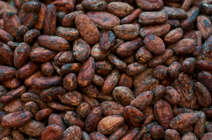 Detail Cocoa Bean Images Nomer 38