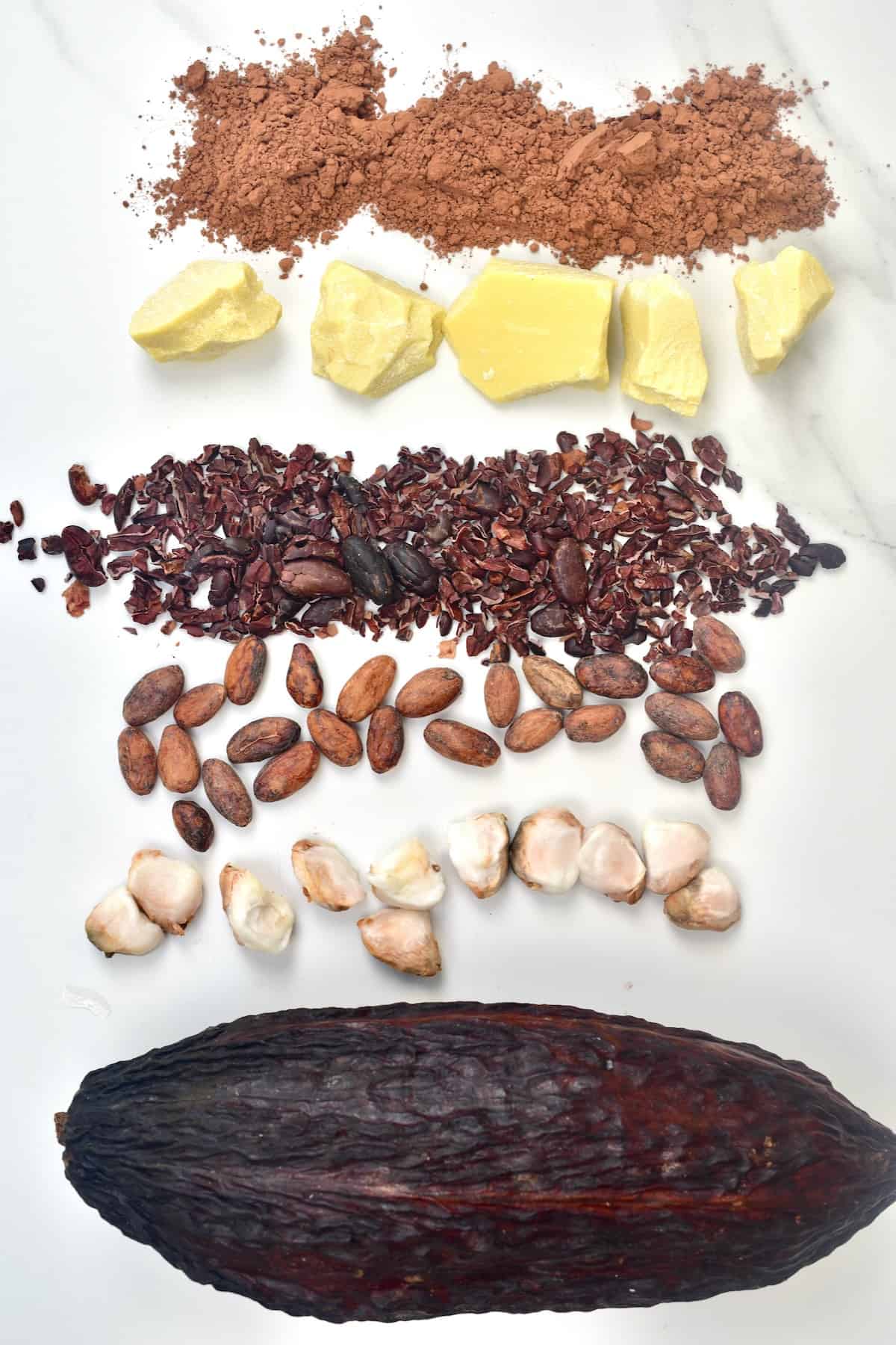 Detail Cocoa Bean Images Nomer 43