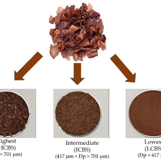 Detail Cocoa Bean Images Nomer 47