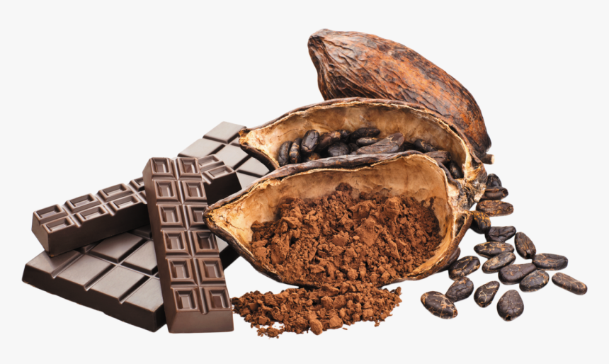 Detail Cocoa Bean Png Nomer 12