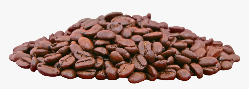 Detail Cocoa Bean Png Nomer 22