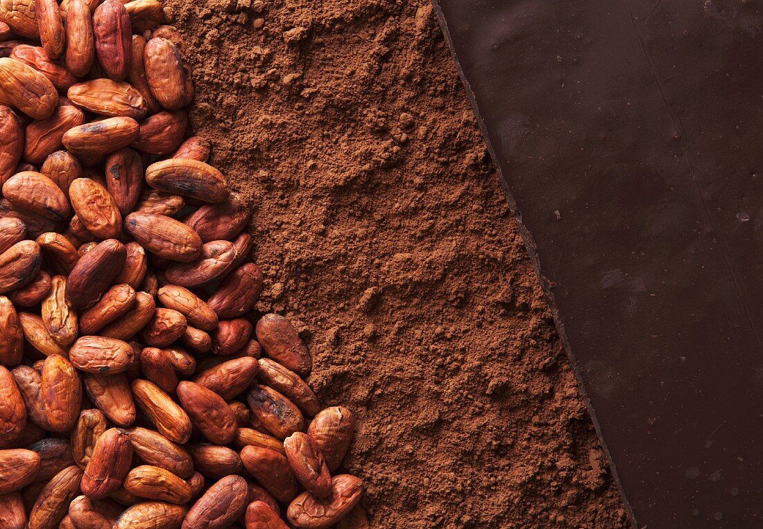 Detail Cocoa Beans Images Nomer 26