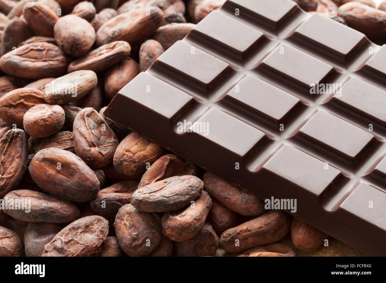 Detail Cocoa Beans Images Nomer 34