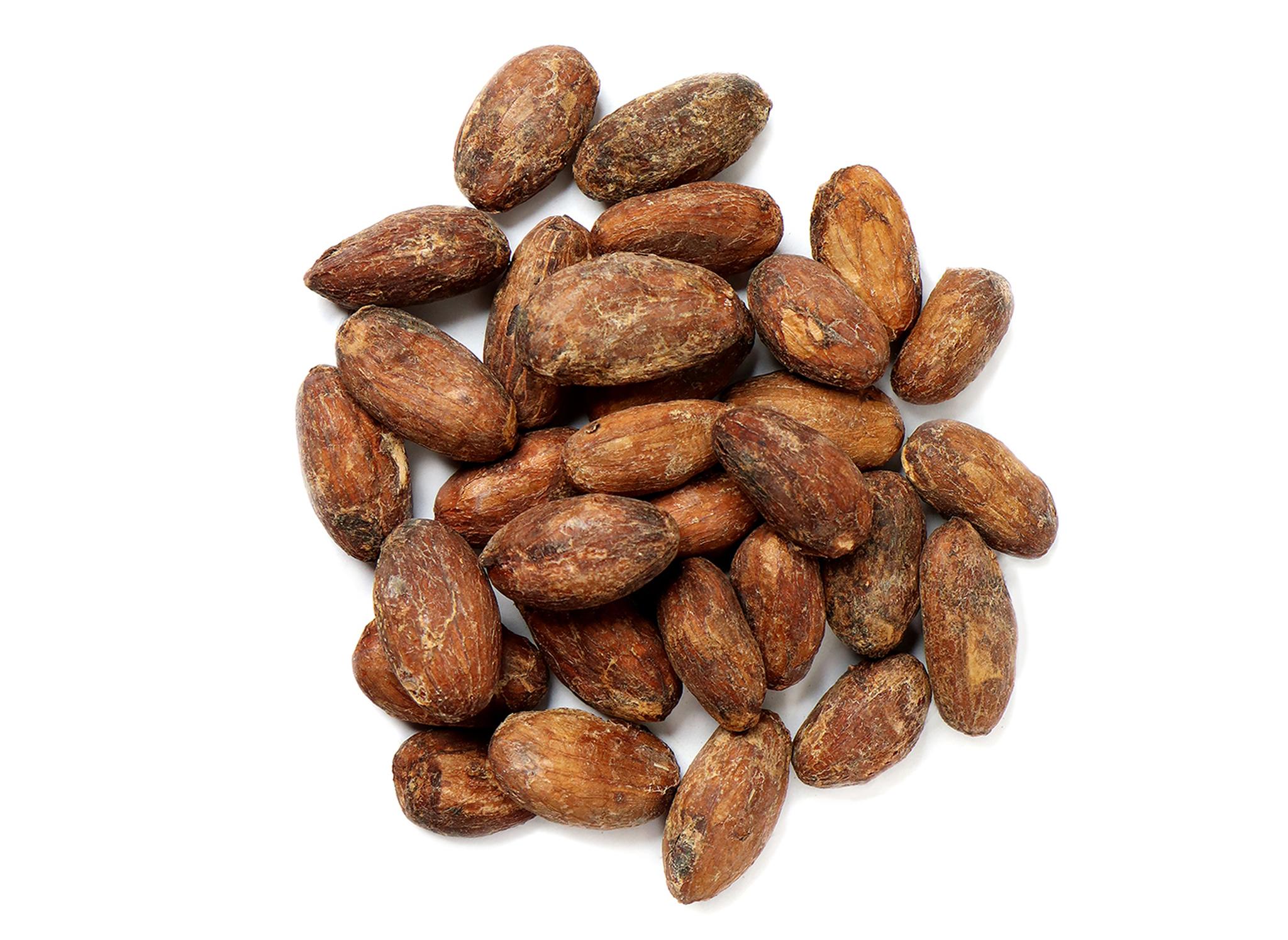 Detail Cocoa Beans Images Nomer 35