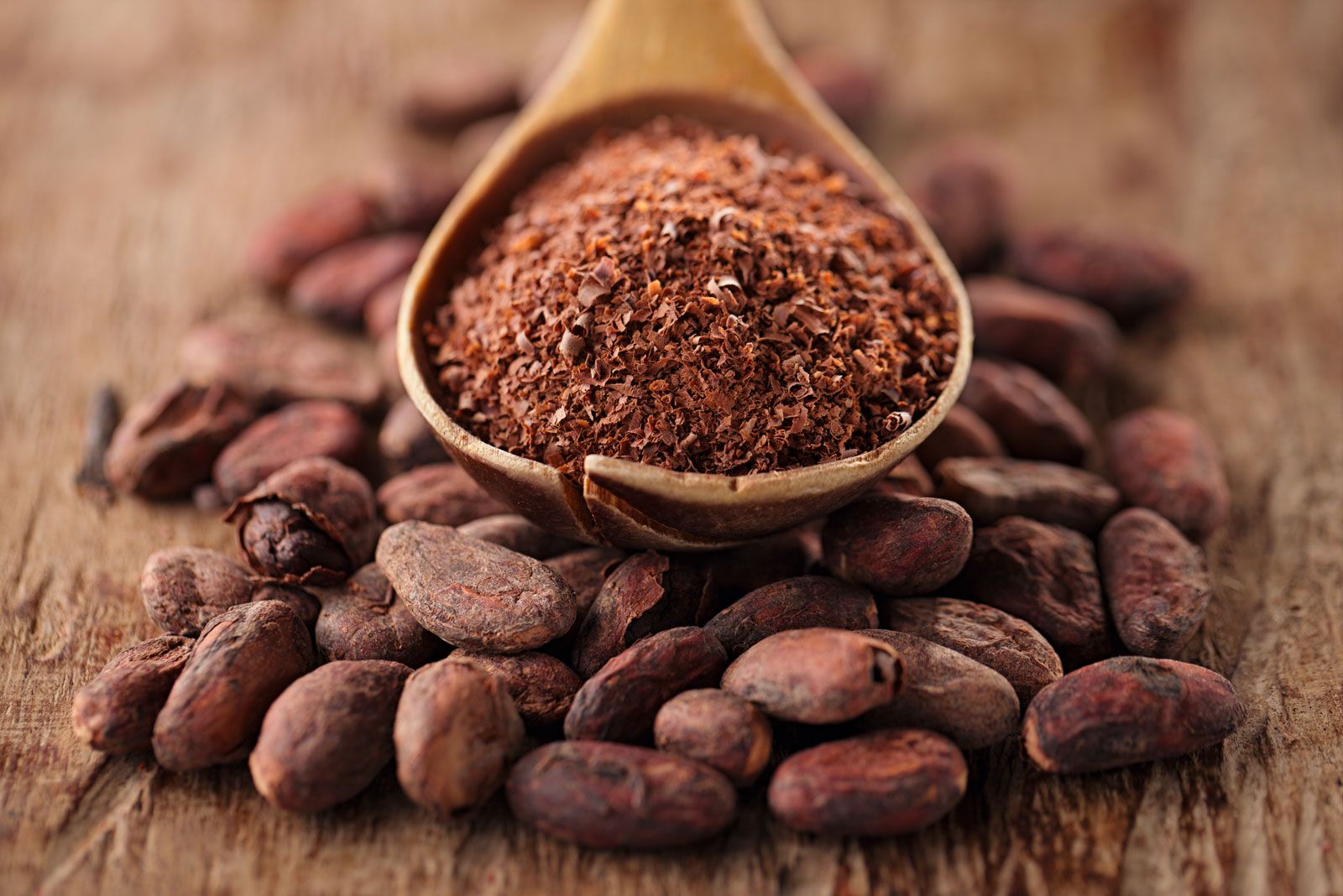 Detail Cocoa Beans Images Nomer 37