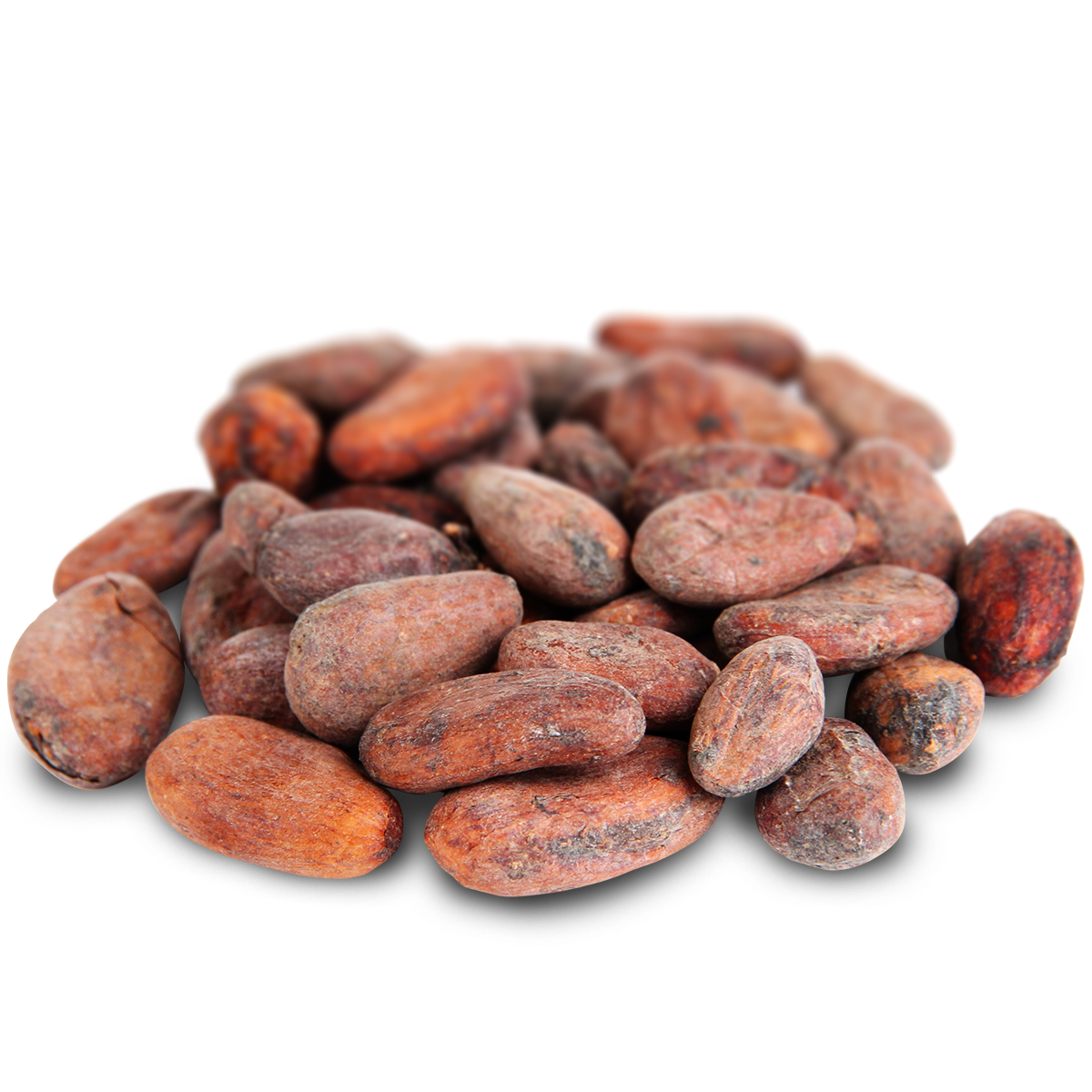 Detail Cocoa Beans Images Nomer 38
