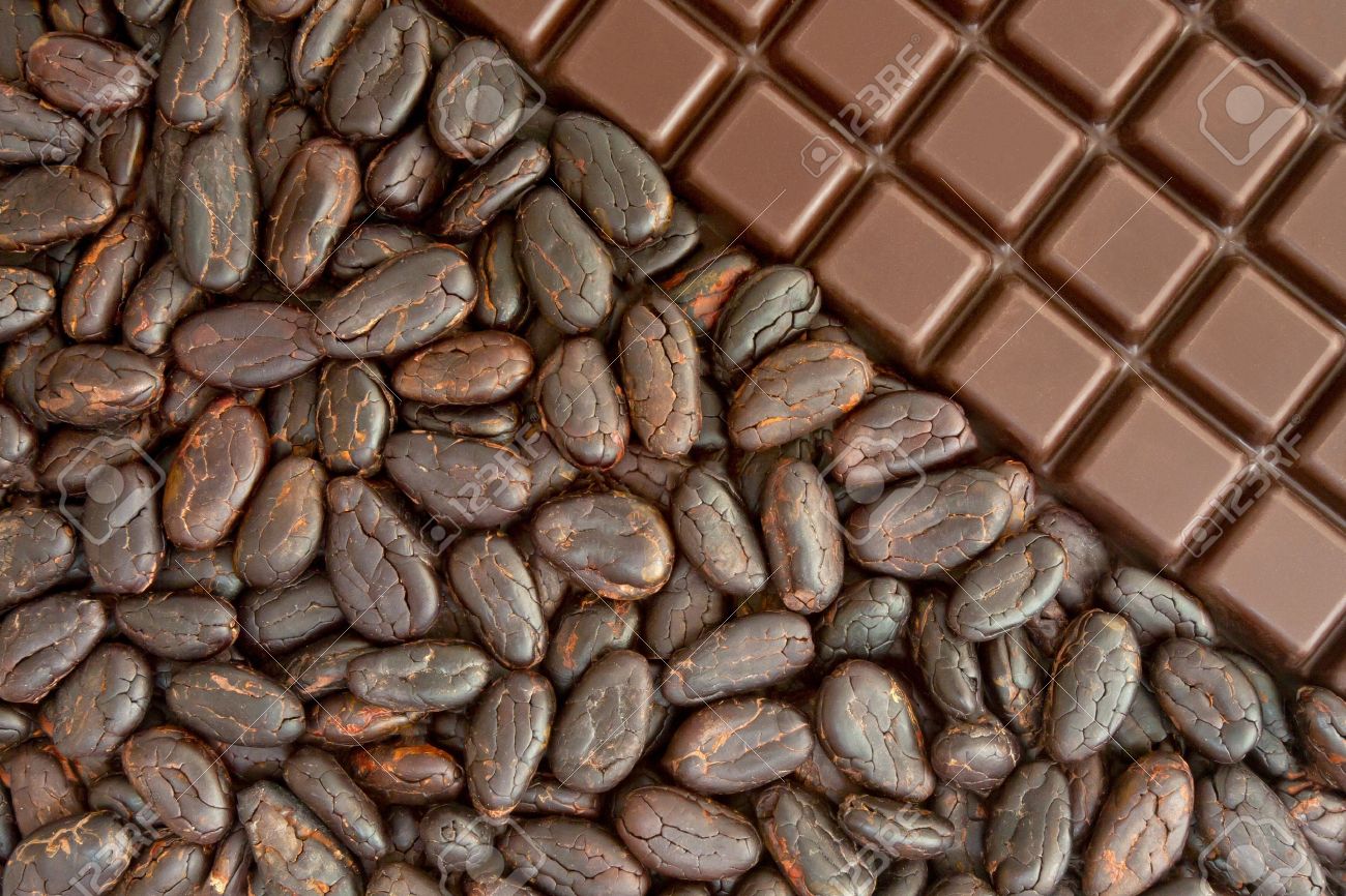 Detail Cocoa Beans Images Nomer 40