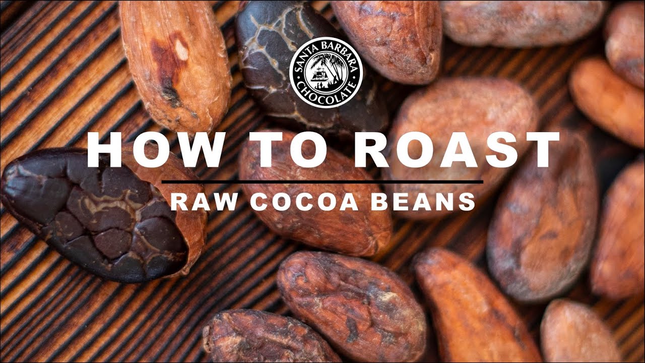 Detail Cocoa Beans Images Nomer 48