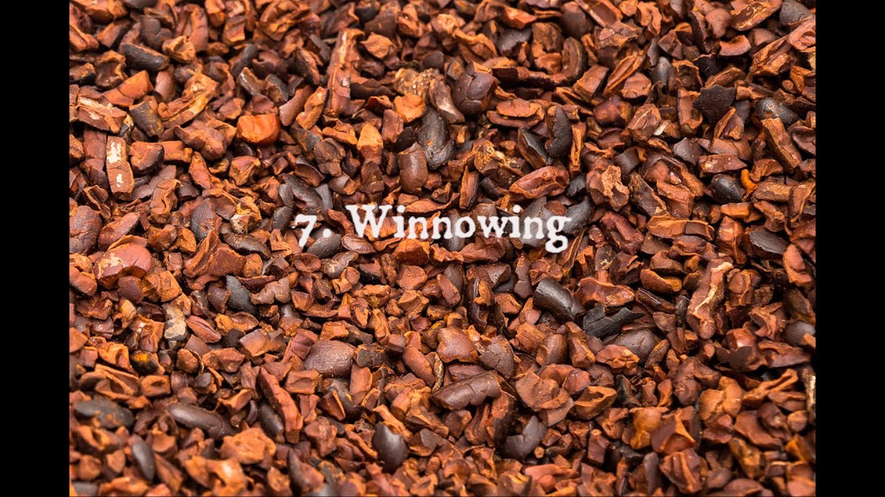 Detail Cocoa Beans Images Nomer 54