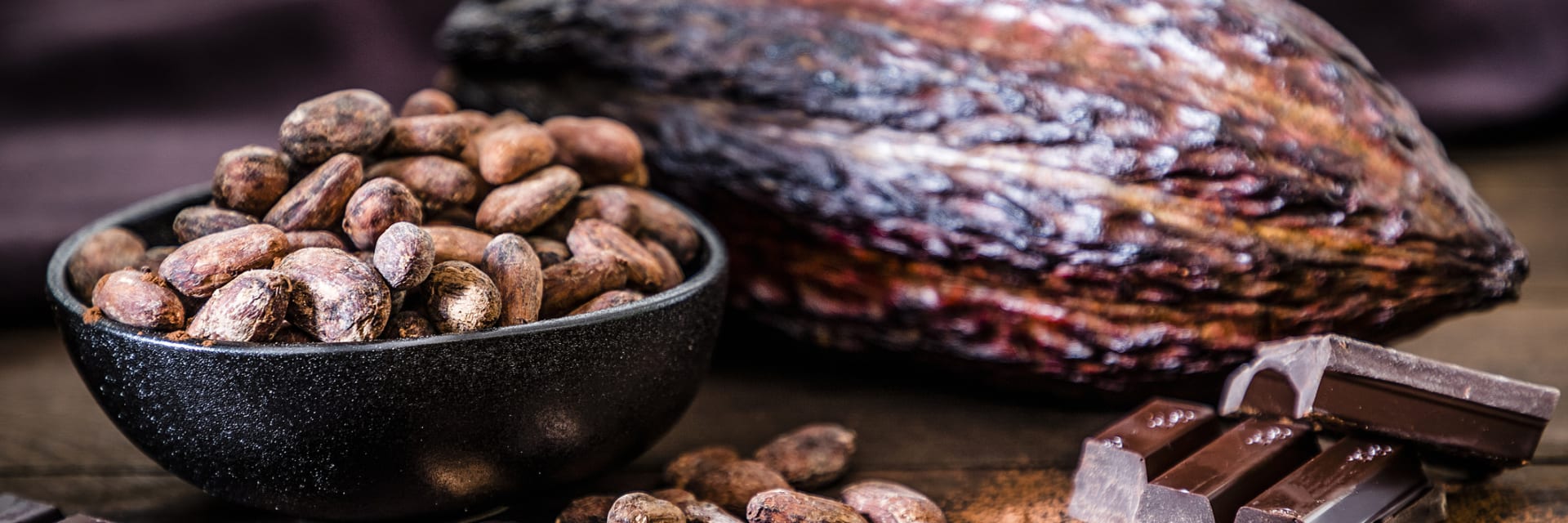 Detail Cocoa Beans Images Nomer 56