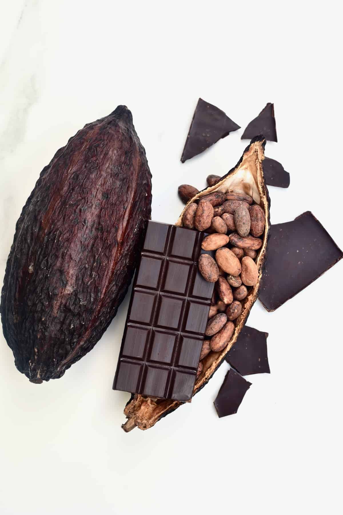 Detail Cocoa Beans Images Nomer 7