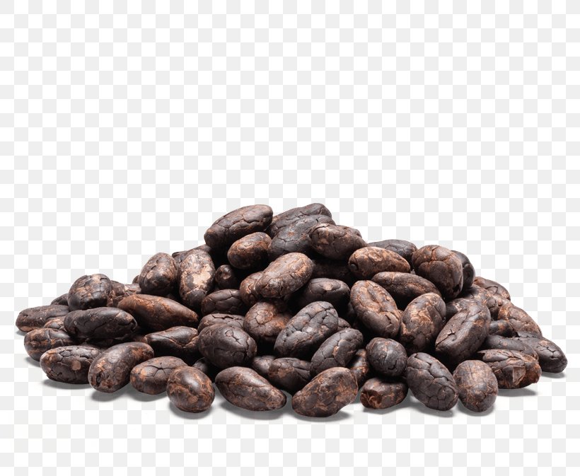 Detail Cocoa Beans Png Nomer 11