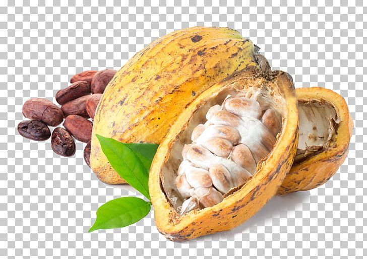 Detail Cocoa Beans Png Nomer 14