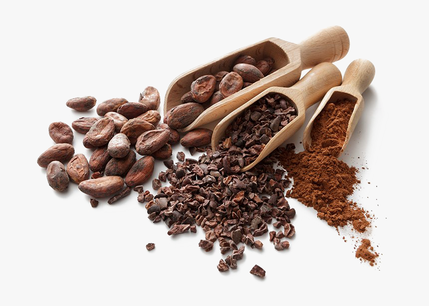 Detail Cocoa Beans Png Nomer 20