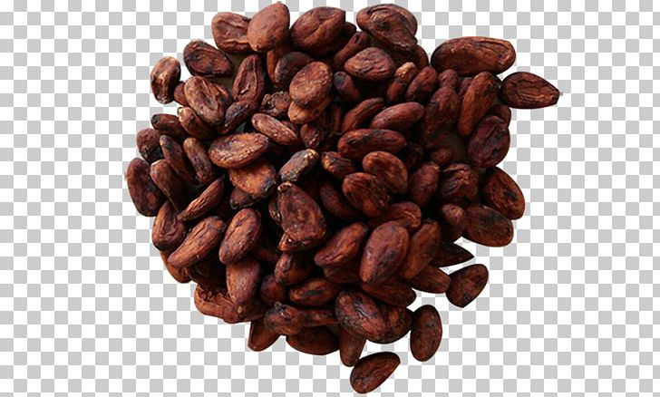 Detail Cocoa Beans Png Nomer 21