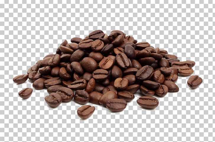 Detail Cocoa Beans Png Nomer 27