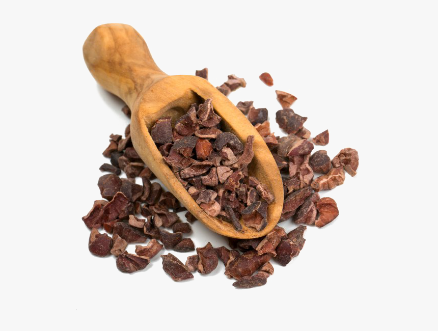 Detail Cocoa Beans Png Nomer 40