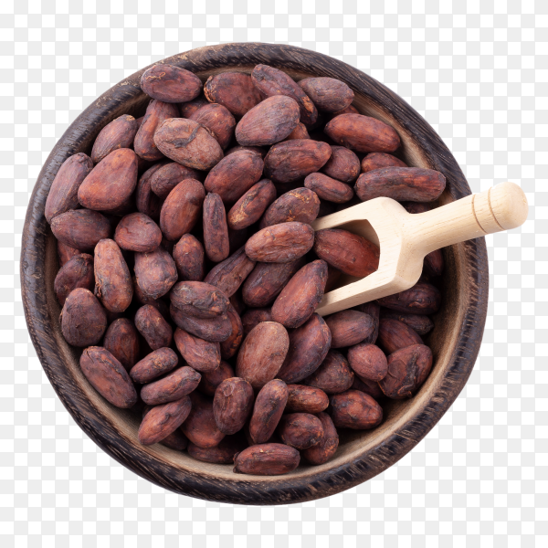 Detail Cocoa Beans Png Nomer 46