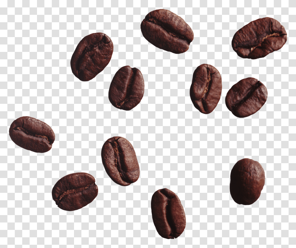 Detail Cocoa Beans Png Nomer 47