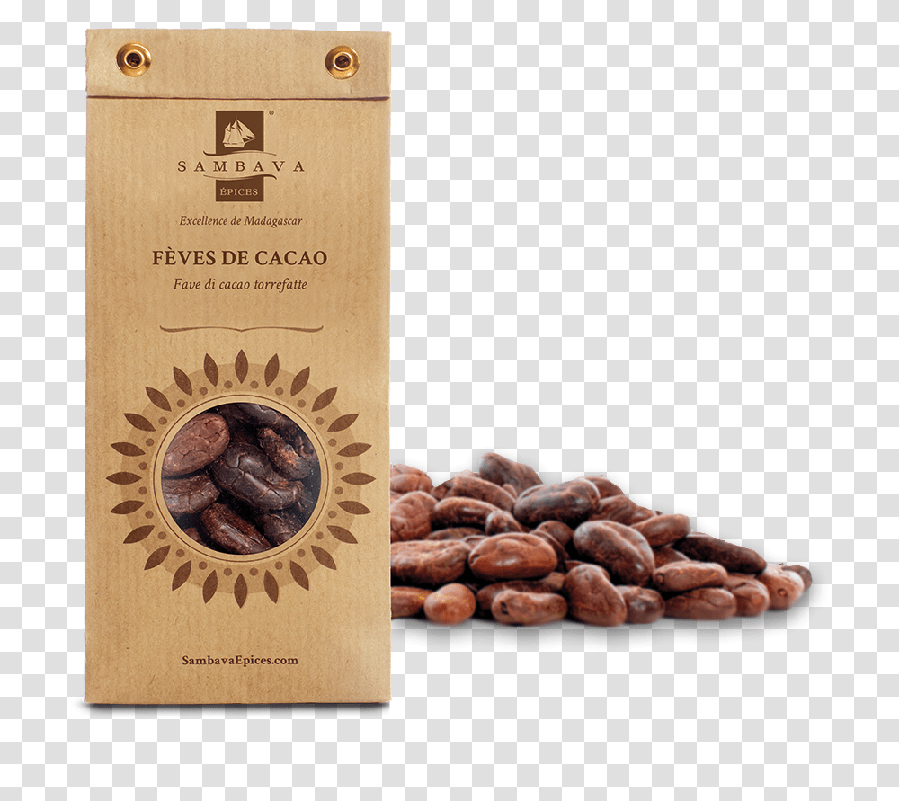 Detail Cocoa Beans Png Nomer 48