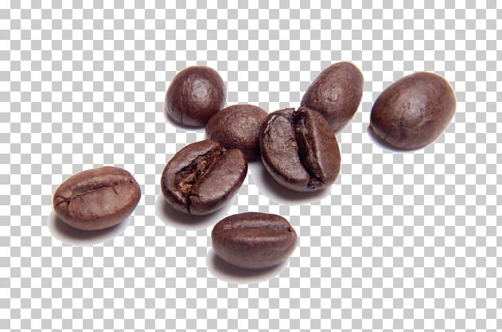 Detail Cocoa Beans Png Nomer 50