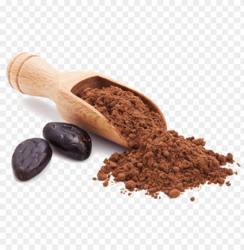 Detail Cocoa Beans Png Nomer 55